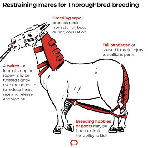 asstr breeding|breeding .